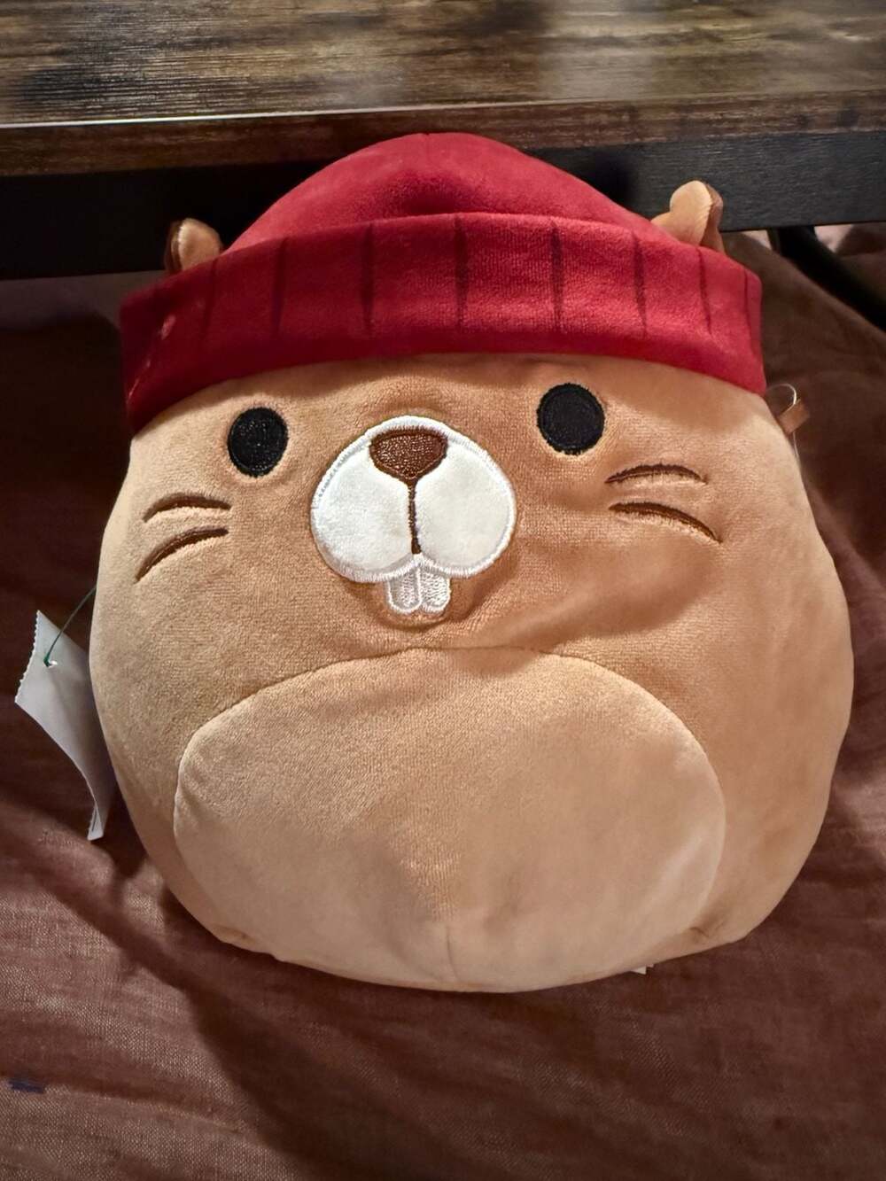 Squishmallows 8-inch Beanie Beaver Plush